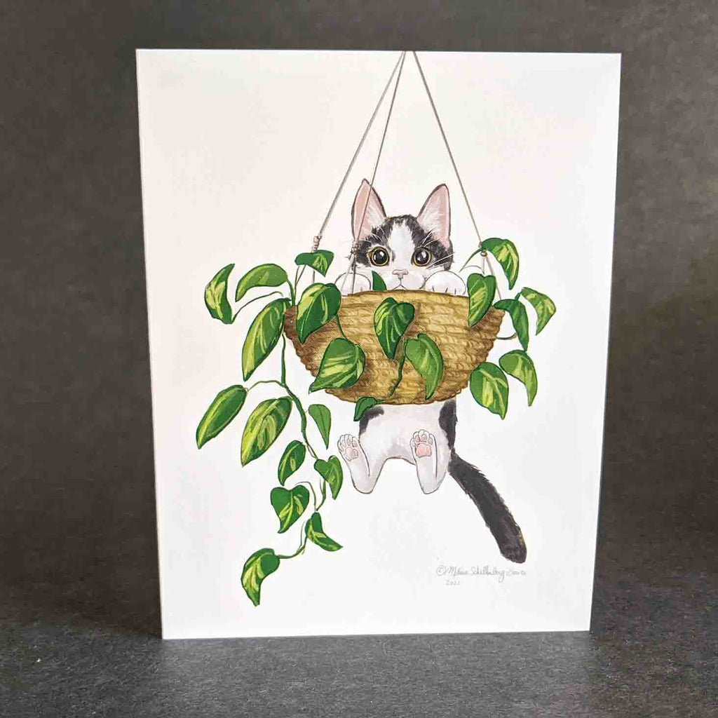 this delightful notecard features a grey and white cat is dangling from a hanging planter