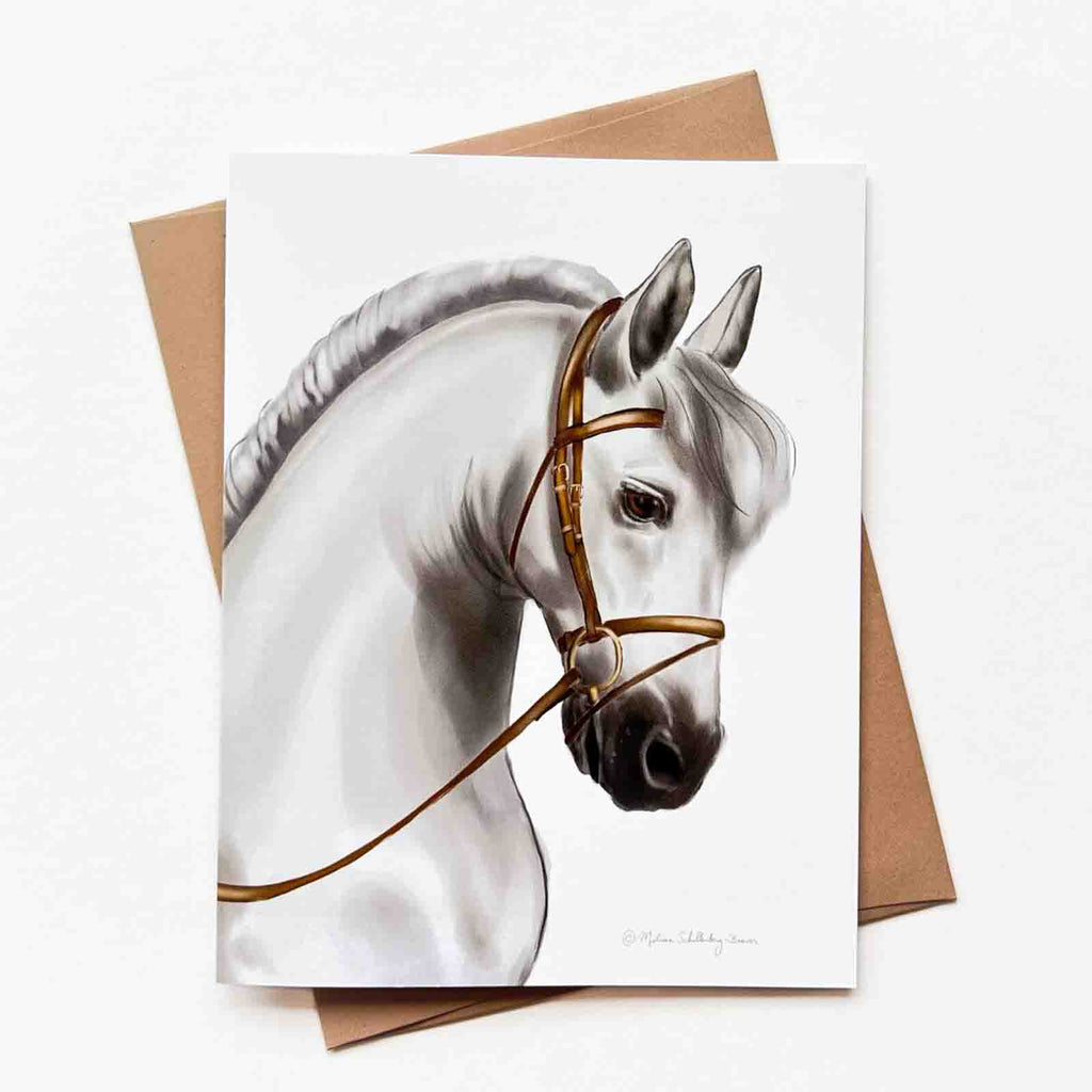 This greeting card features a majestic greyish white horse.