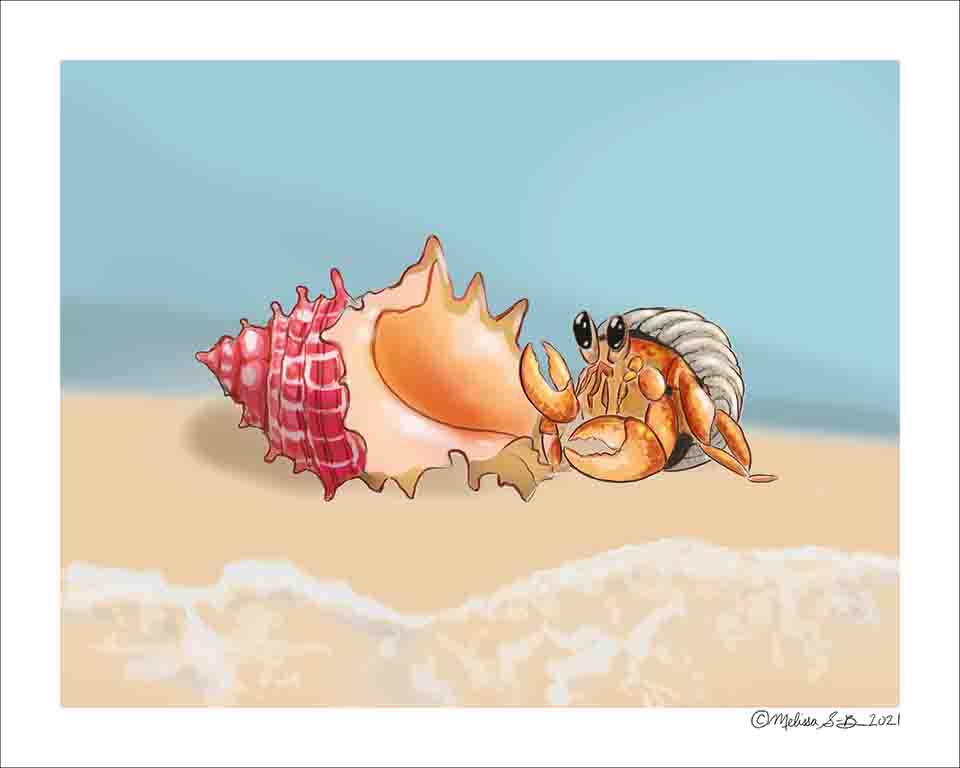 A fine art print featuring a hermit crab who just found a fancy new shell. It makes a great house warming card.