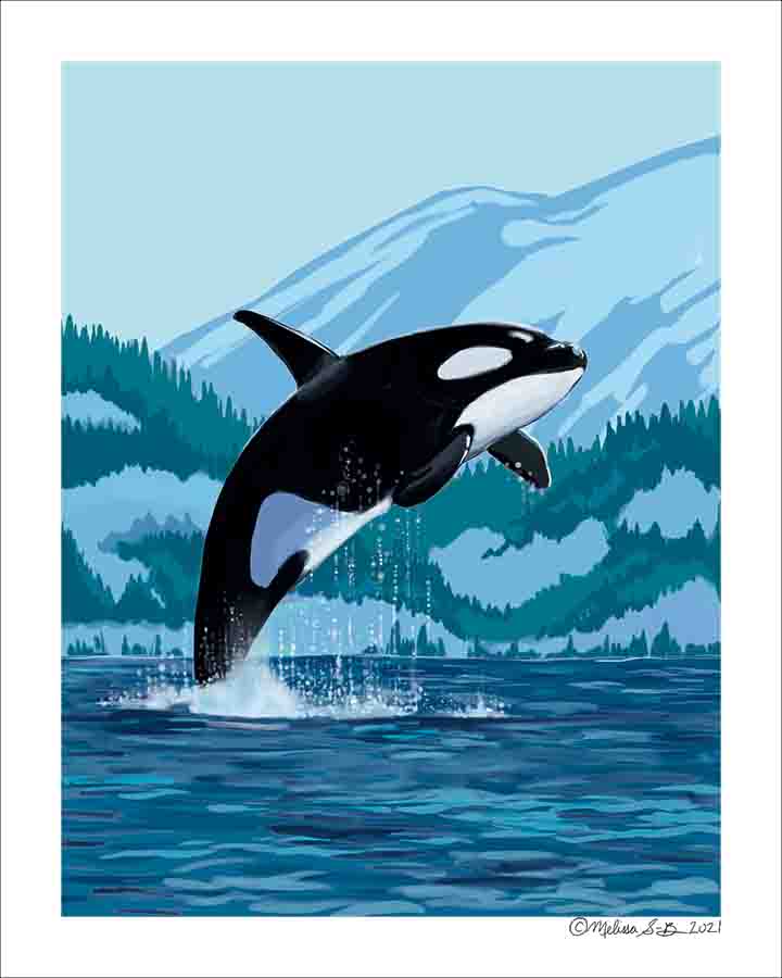 Leaping Orca Fine Art Print