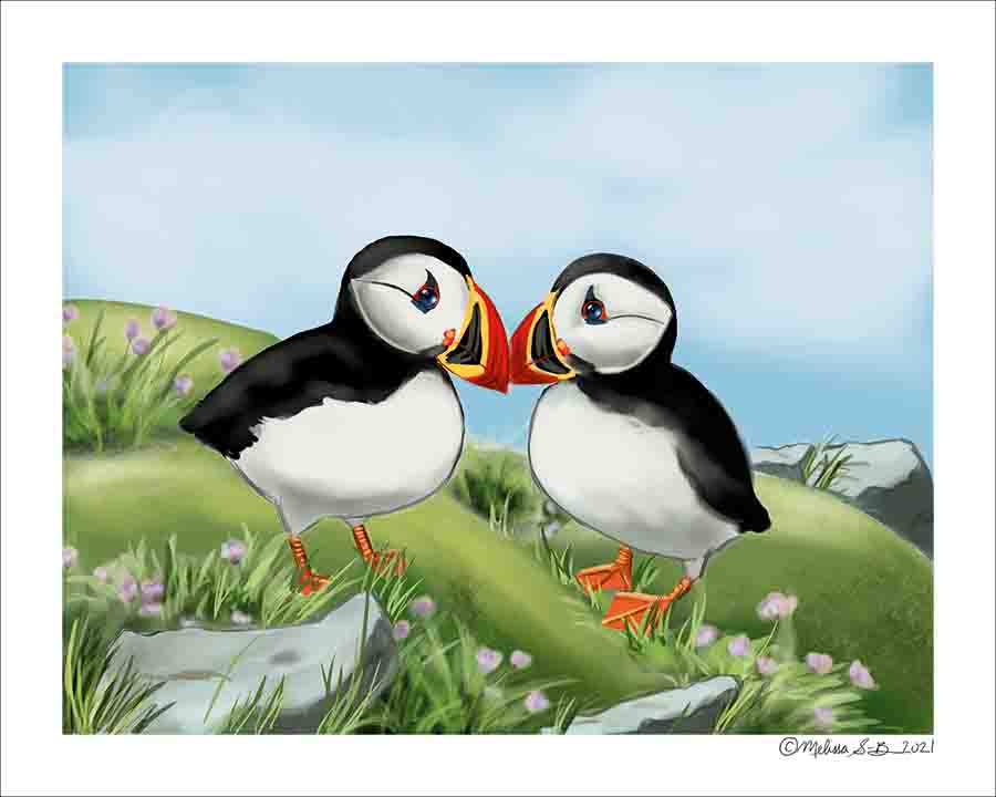 A fine art print featuring two cute little puffins facing each other while standing in a grassy field with some flowers.