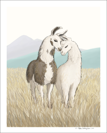 A fine art print featuring 2 llamas resting their heads against each other in a grassy field